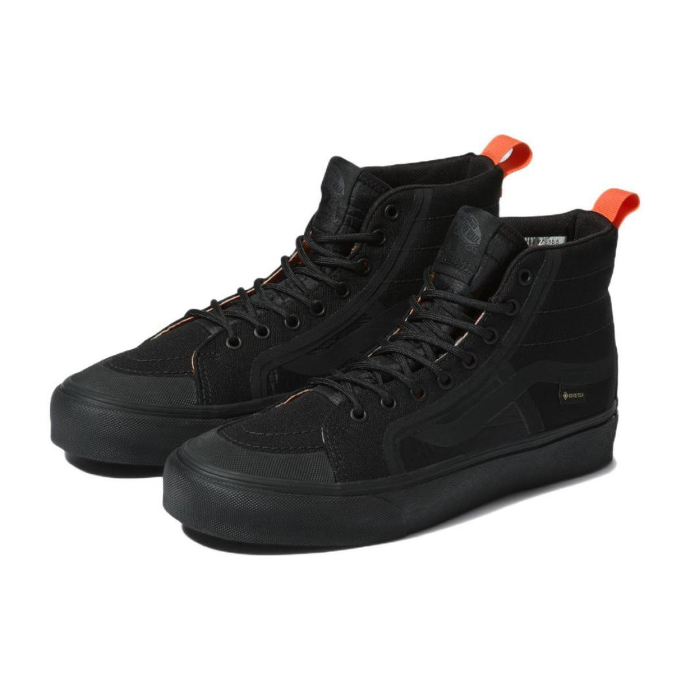 RAEBURN x Vans SK8 GTX VR3