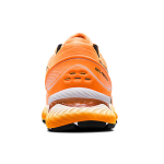 Asics GEL-Nimbus 22
