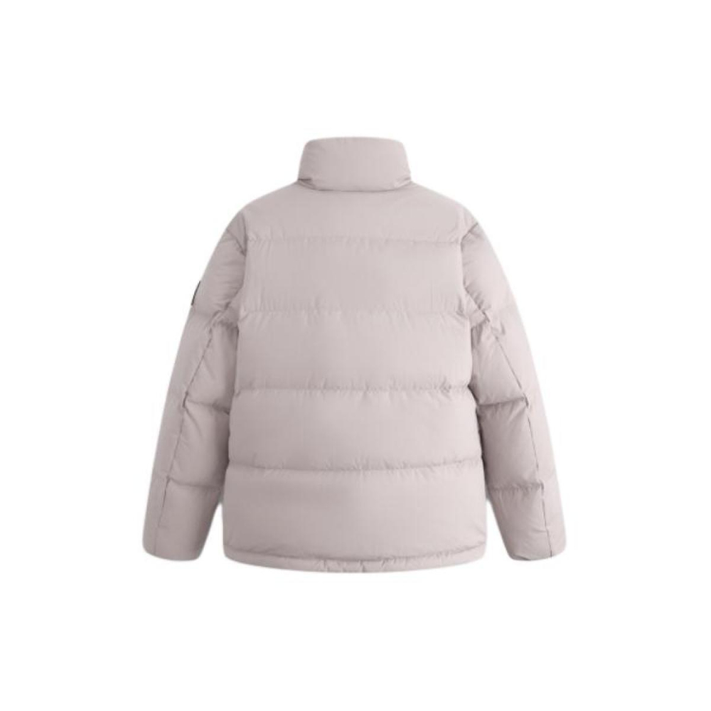 CK/Calvin Klein Logo