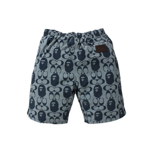 A BATHING APE x COACH Logo