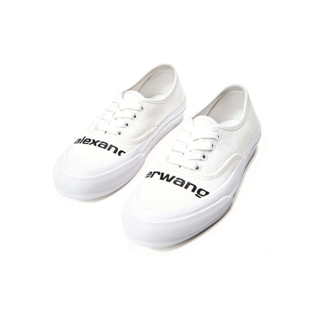 Alexander wang Dropout
