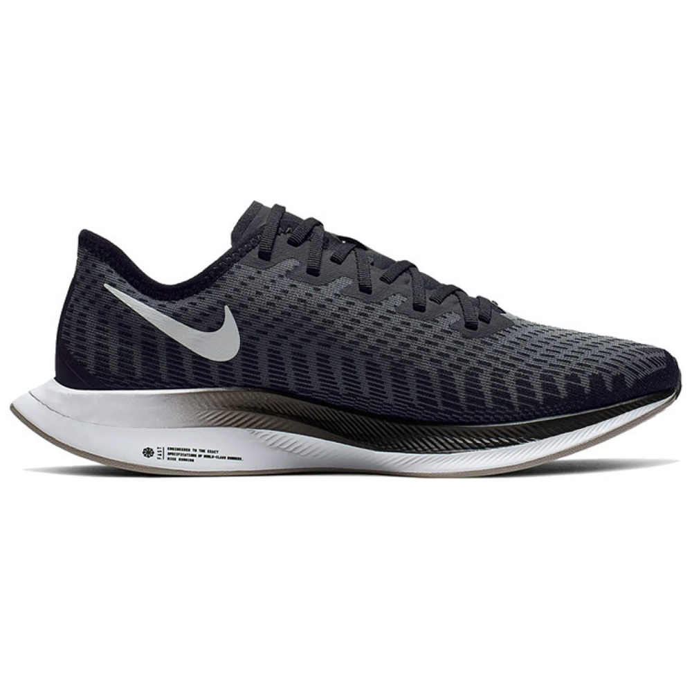 Nike Pegasus turbo 2