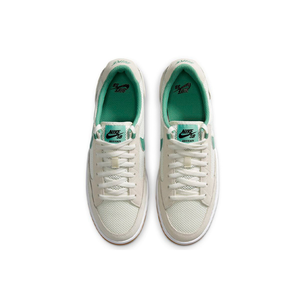 Nike SB Adversary