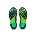 Asics Noosa Tri 14