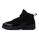 Jordan Air Jordan 12