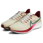 Nike Air Zoom Pegasus 39