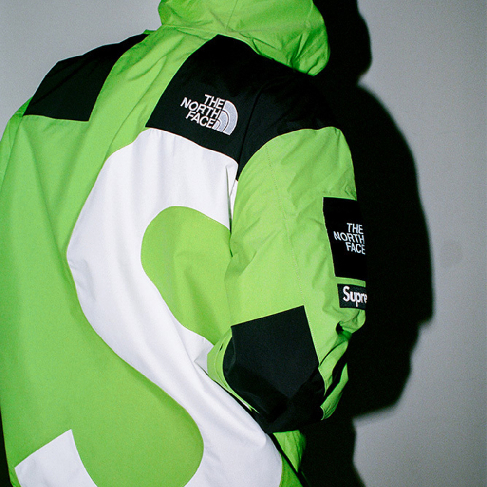 Supreme x the north face s logo mountain jacket TNF s logo