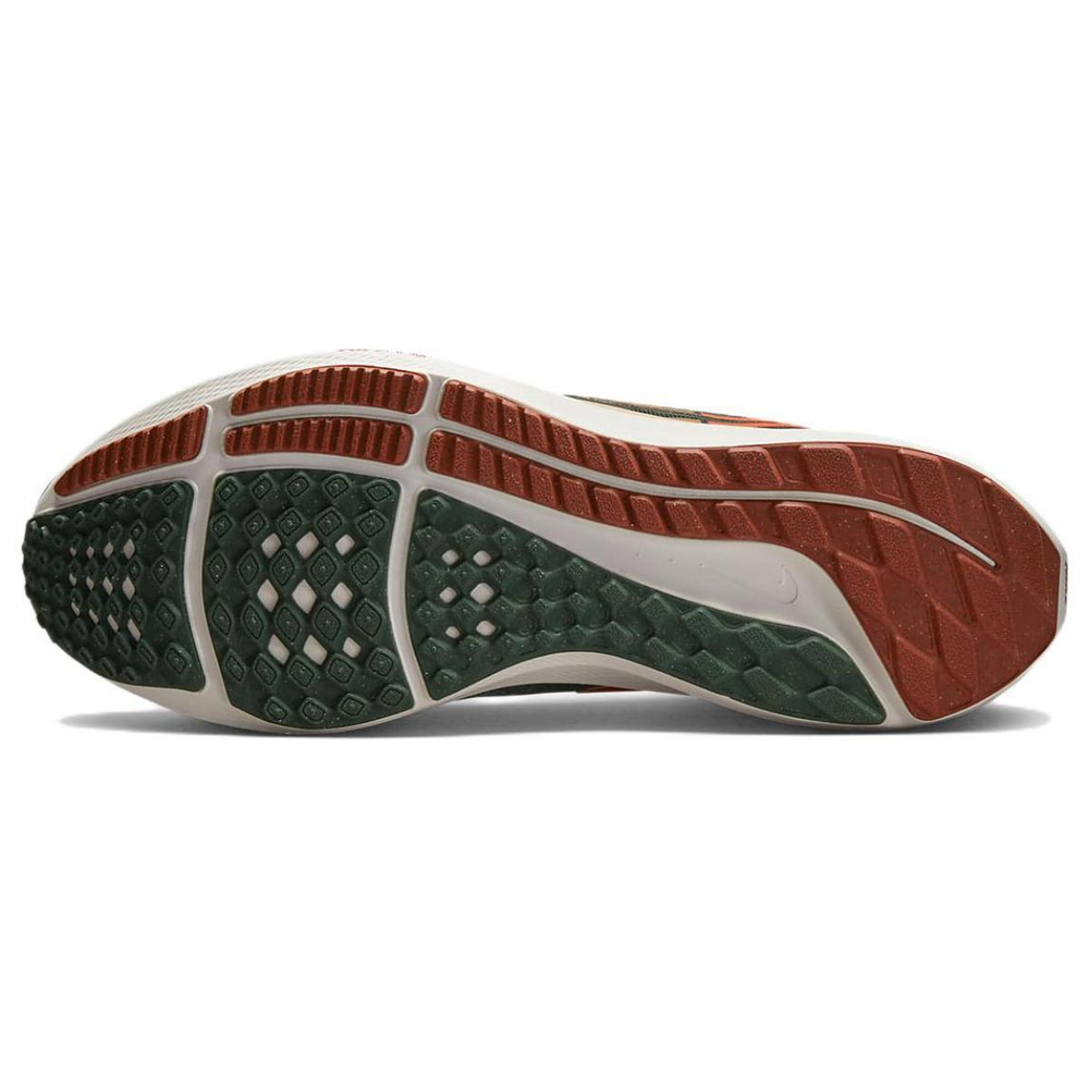 Nike Air Zoom Pegasus 39 "a.i.r. hola lou"