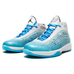 Jordan Air Jordan 2011 AJ26