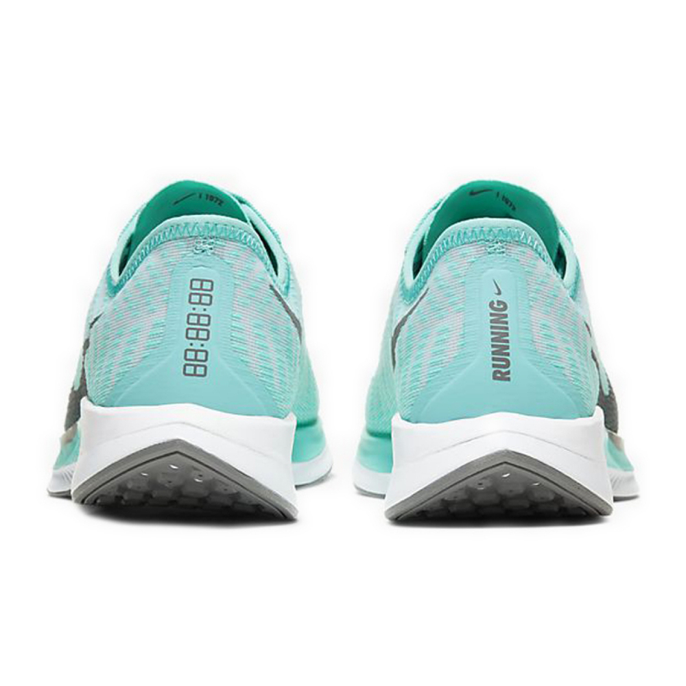Nike Pegasus turbo 2