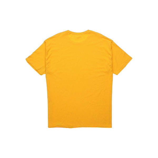 Champion T