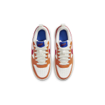 Nike Court Borough Low 2