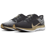 Nike Pegasus turbo 2