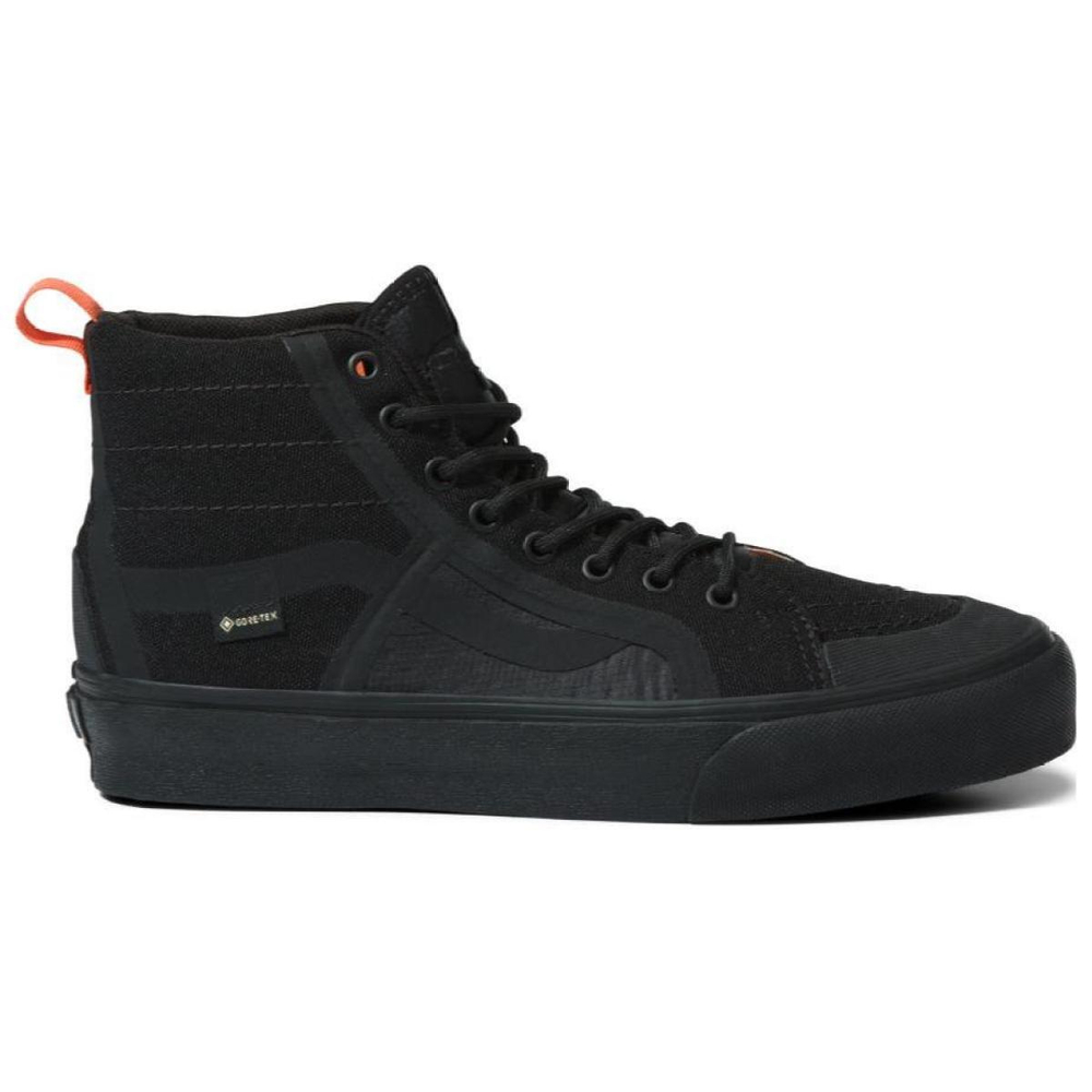 RAEBURN x Vans SK8 GTX VR3