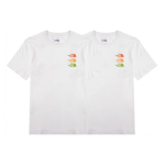 THE NORTH FACE Logo SS22 T