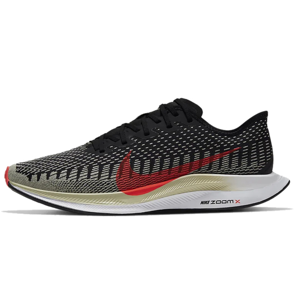 Nike Pegasus turbo 2