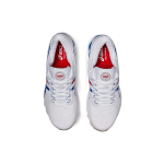Asics GEL-Nimbus 22