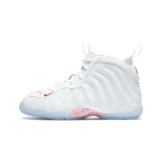 Nike Foamposite One