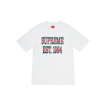 Supreme SS20 Week 7 Cotton Mesh Gradient Logo S/S Top Logo T