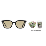 【 】 GENTLE MONSTER Lilit 01（BR）FLATBA