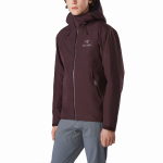 Arcteryx Beta Lt gore-tex