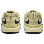 Nike SB Ishod