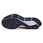 Nike Pegasus 35