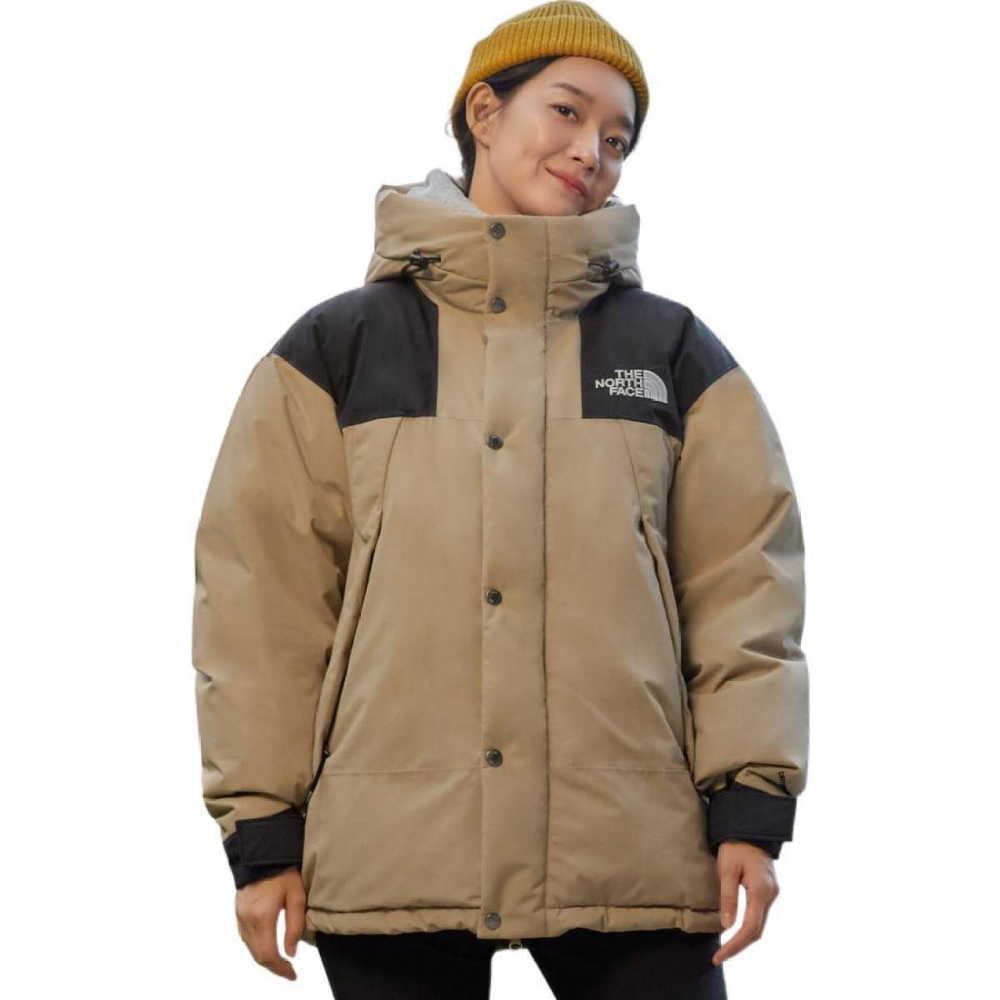 THE NORTH FACE dryvent Logo