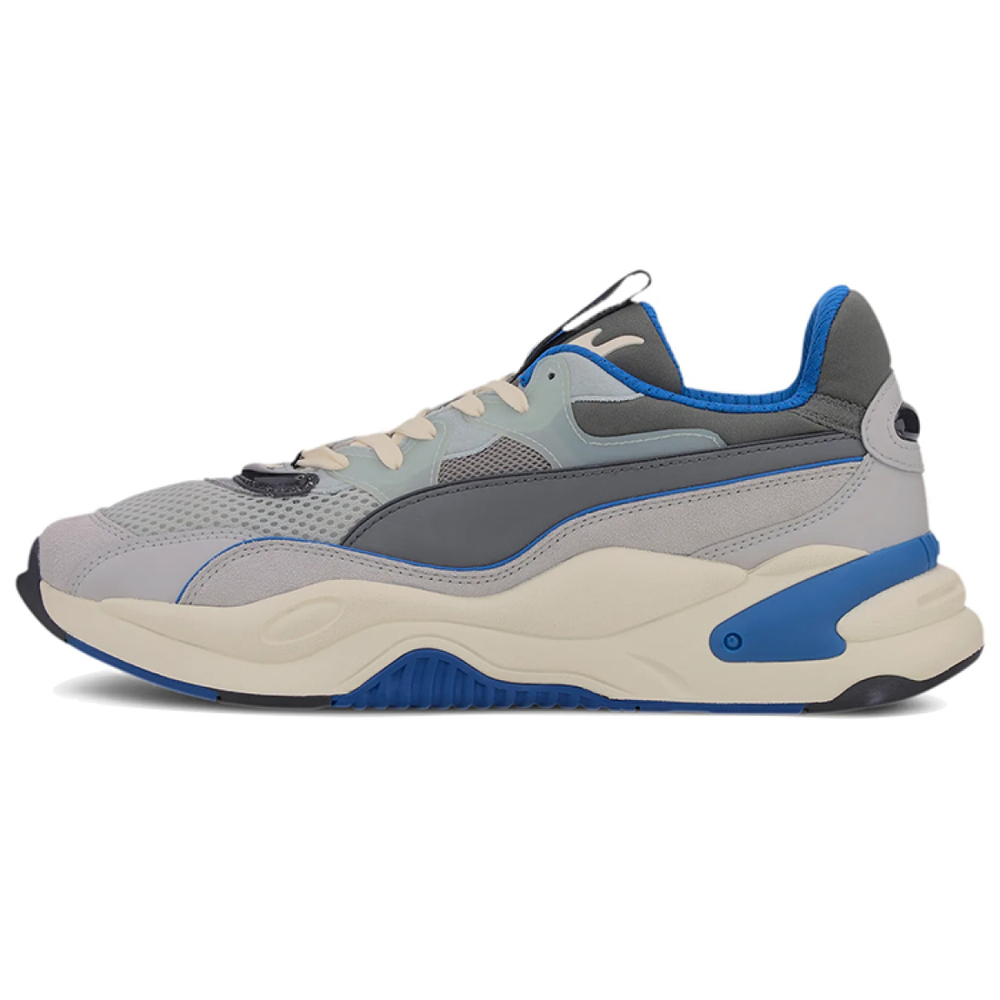 PUMA RS-2K Internet Exploring