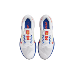 Nike Zoom Winflo 9
