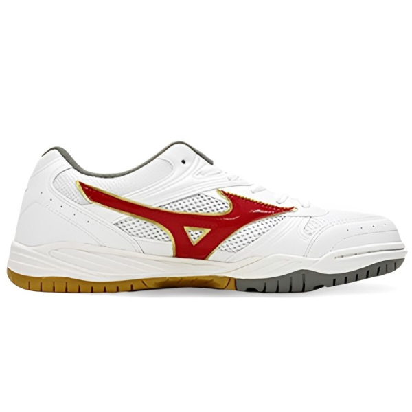Mizuno School Indoor