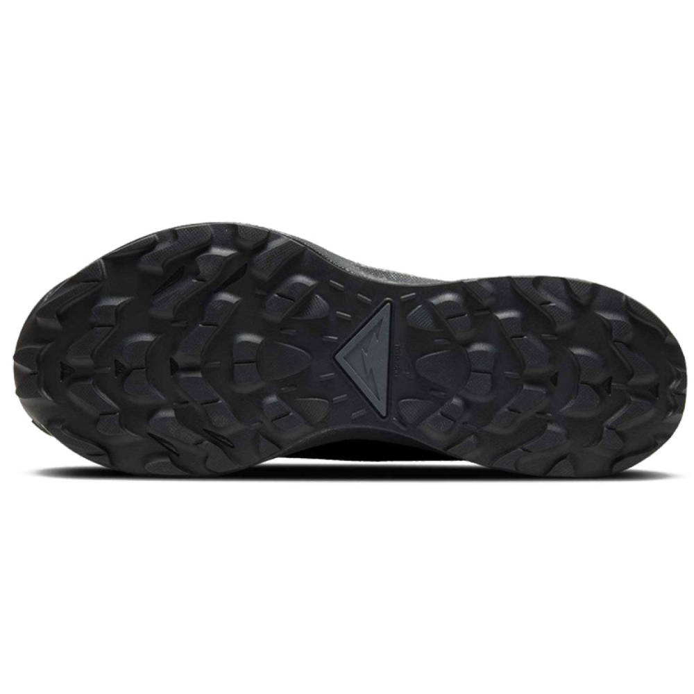 Nike Pegasus Trail 2 GORE-TEX