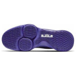 Nike Witness 4 LeBron EP