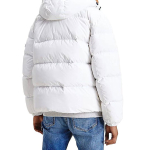 Tommy Hilfiger Logo
