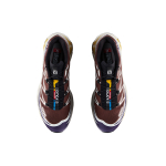 Salomon XT-6