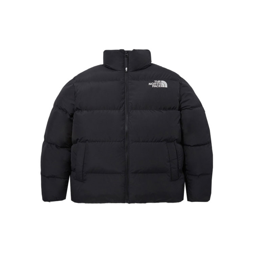 THE NORTH FACE LOFTY DOWN JACKET V2