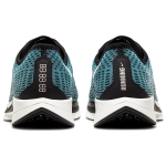 Nike Pegasus turbo 2