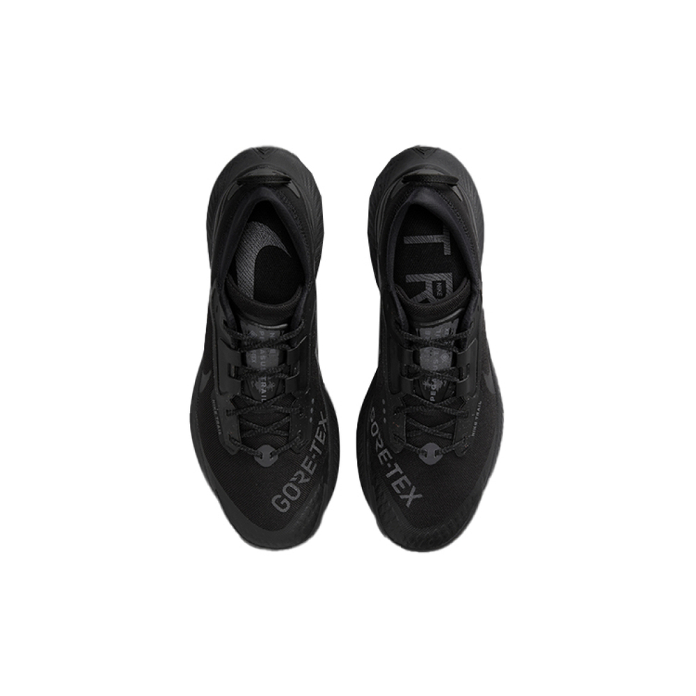Nike Pegasus Trail 3 gore-tex "black"