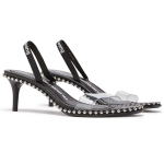 Alexander wang