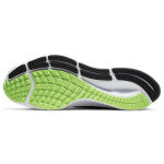 Nike Pegasus 37