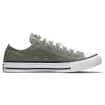 Converse Chuck Taylor All Star Seasonal Color Low Top