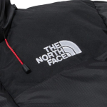 THE NORTH FACE WINDSTOPPER GTX