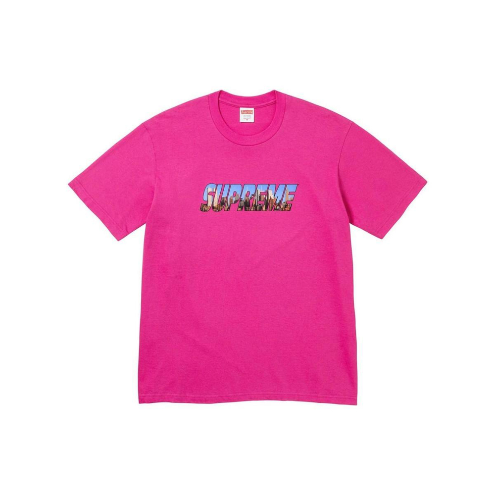 Supreme FW23 WEEK1 GOTHAM TEE Logo T