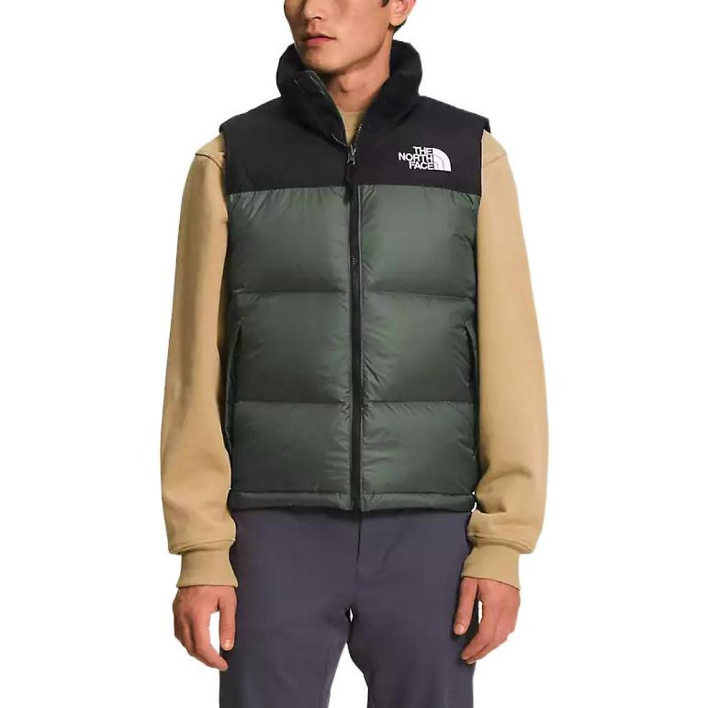 THE NORTH FACE FW22 1996 Retro Nuptse 700