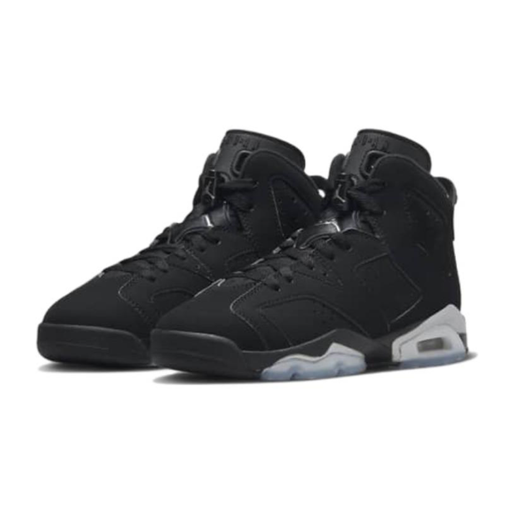 Jordan Air Jordan 6 Metallic Silver