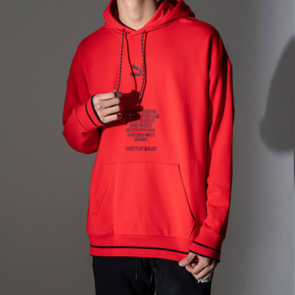 Puma TFS Hoodie logo