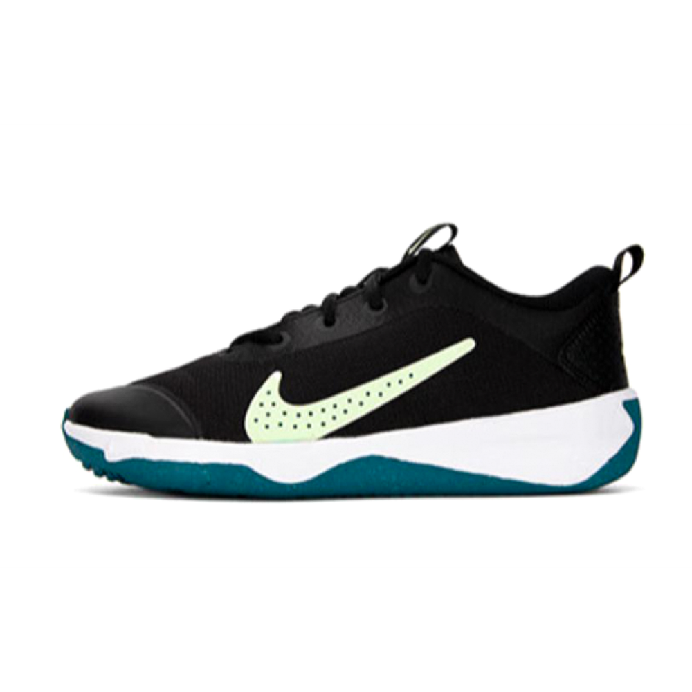 Nike Omni Multi-Court