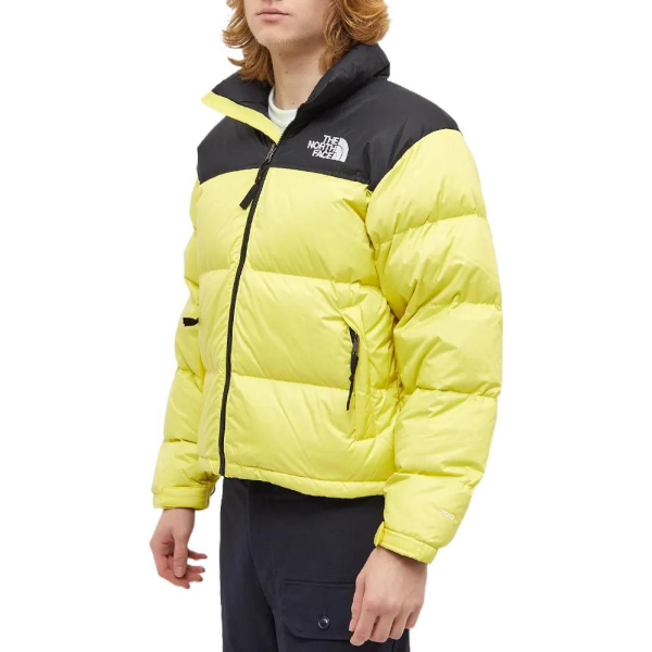 THE NORTH FACE 1996 Logo