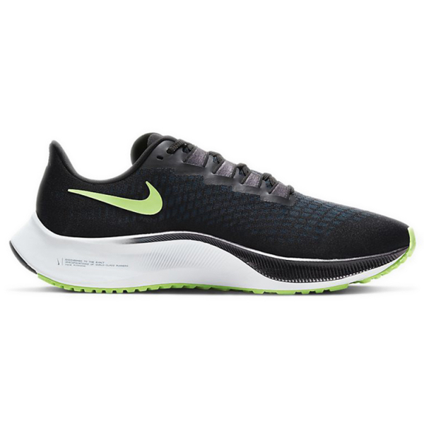 Nike Pegasus 37
