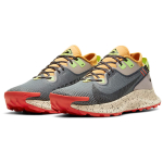 Nike Pegasus Trail 2 GORE-TEX
